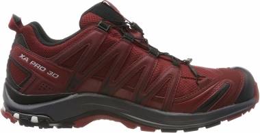 Salomon XA Pro 3D GTX - Red